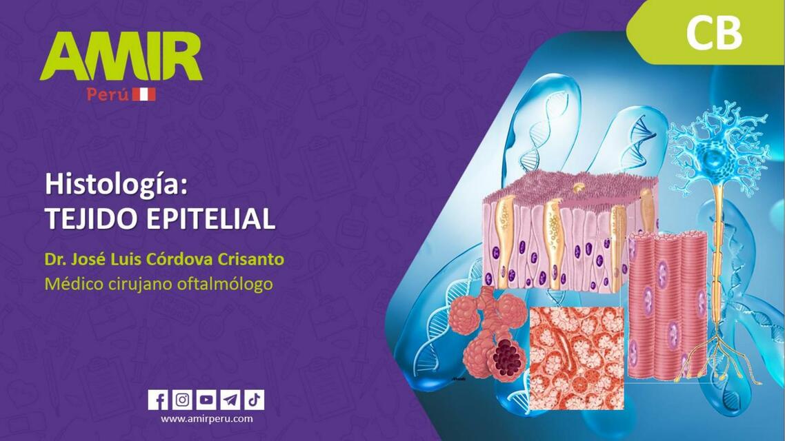 HISTOLOGÍA ENAM AMIR 2022