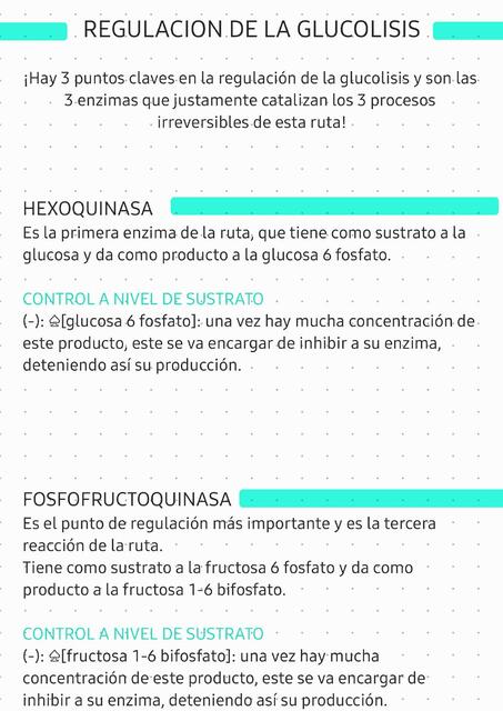 Regulación de Glucólisis y Ciclo de Krebs