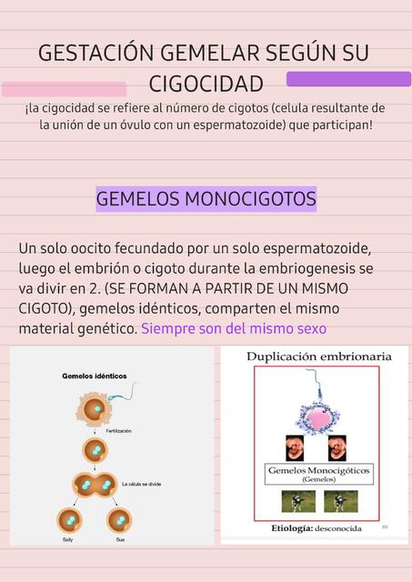 Gestación Gemelar según su Cigocidad 