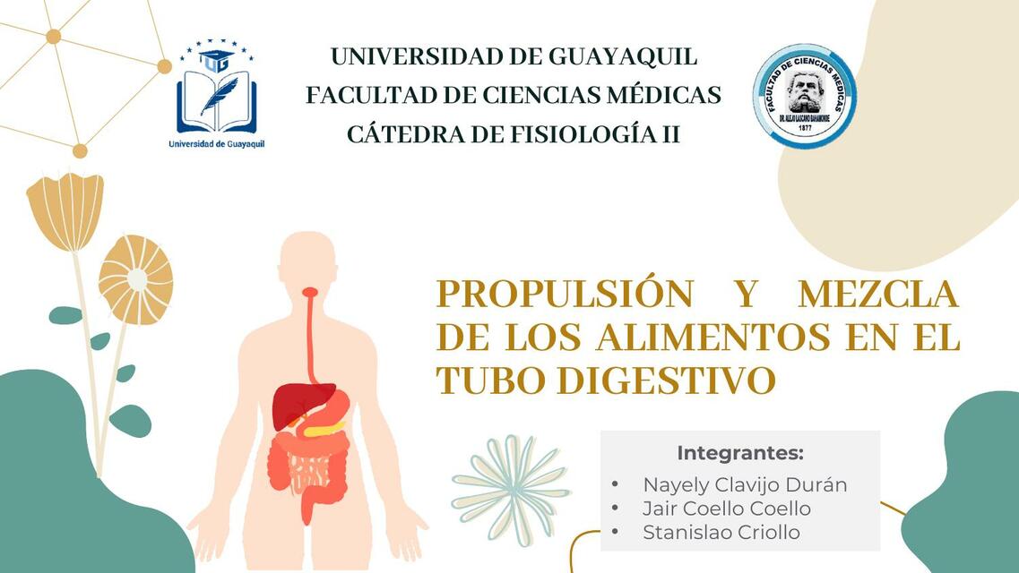 Propulsión y Mezcla de los Alimentos en el Tubo Digestivo 