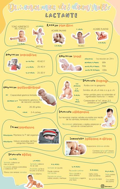 Dimensiones de Desarrollo del Lactante