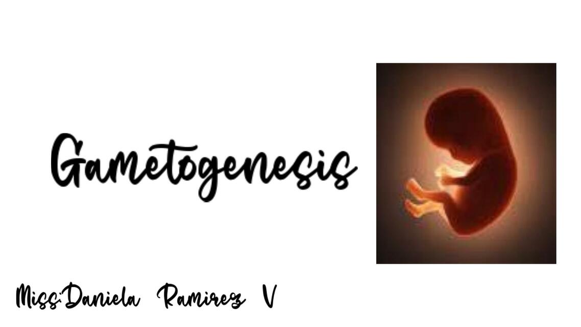 Gametogénesis 