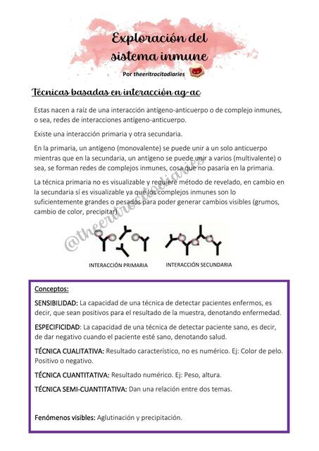 Exploración del Sistema Inmune 