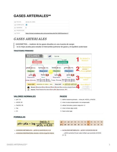 Gases Arteriales 