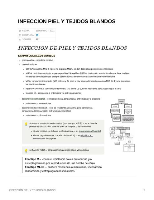 Infección Piel y Tejidos Blandos 