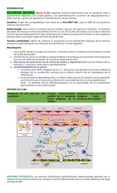 Esclerosis Múltiple