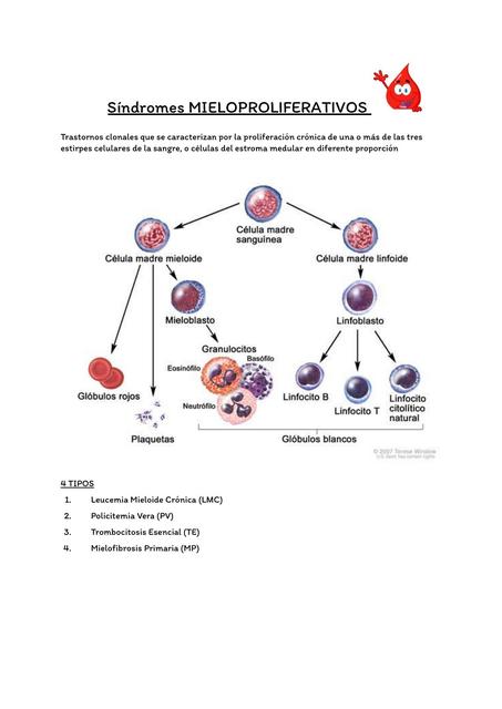 Síndromes Mieloproliferativos 