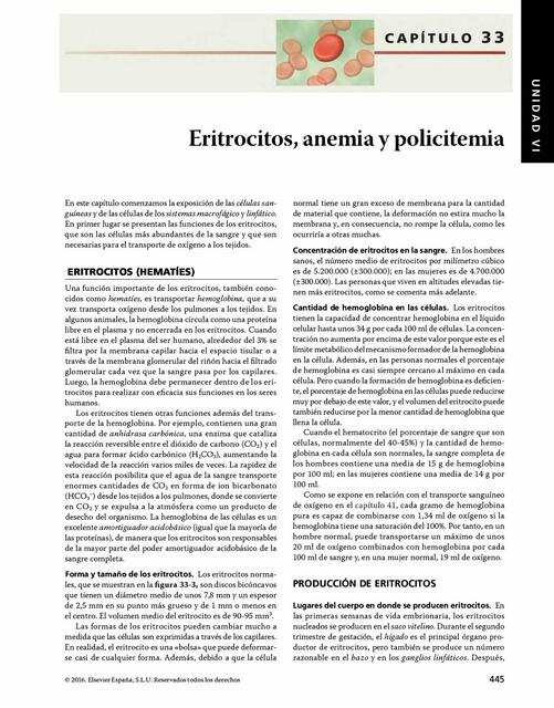 Eritrocitos, anemia y policitemia