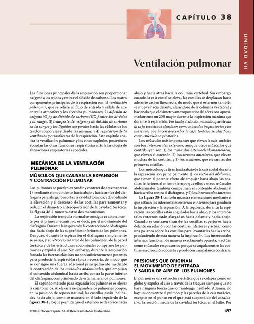 Ventilación pulmonar