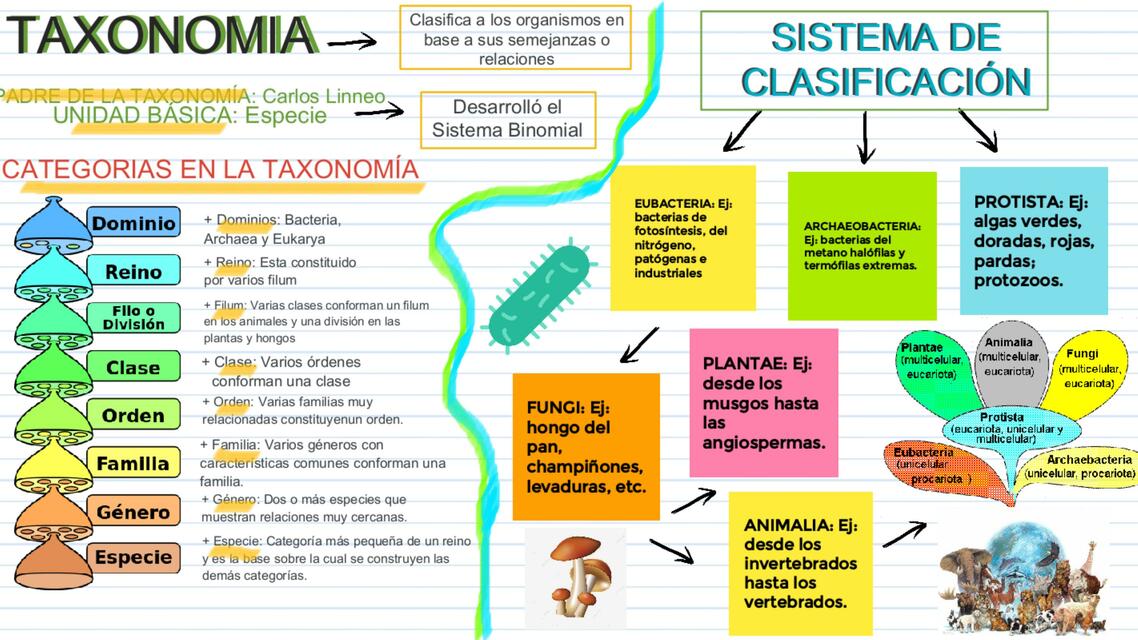 Taxonomía y Diversidad Biológica 