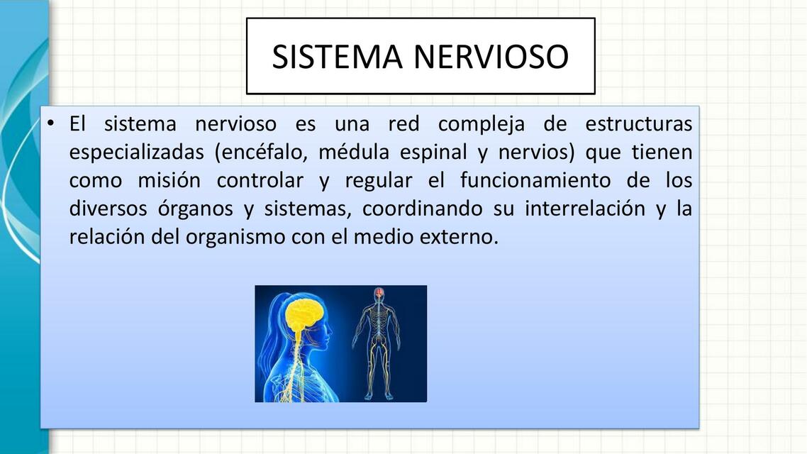 Farmacología del Sistema Nervioso