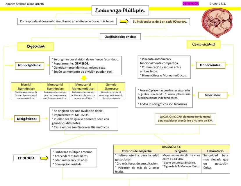 Embarazo Múltiple 
