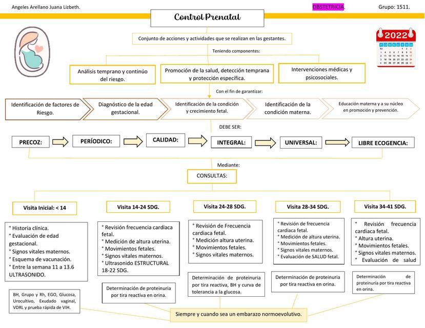 Control Prenatal