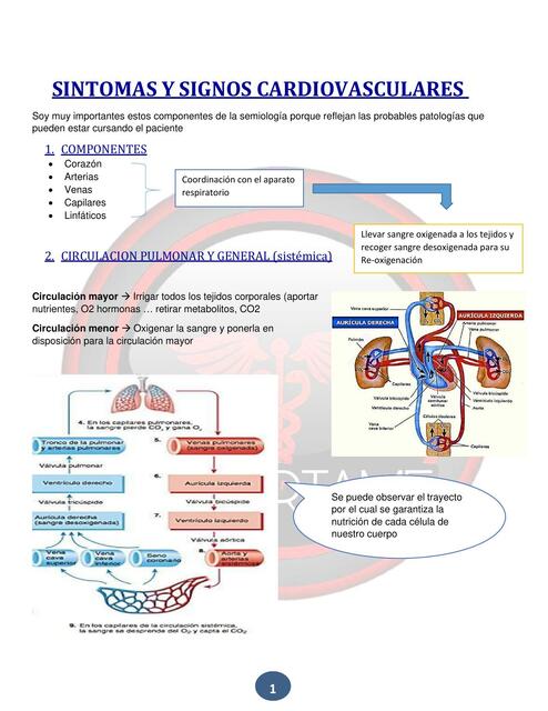 Signos y Síntomas Cardiovasculares 