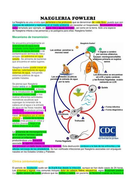 Degrabada de parasitología 