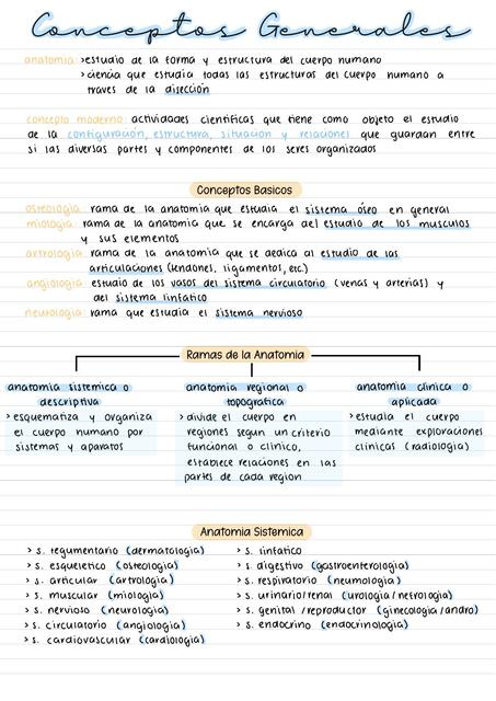 Conceptos generales