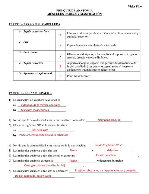 Answer Key del quiz de anatomía de músculos de la cabeza y masticación 