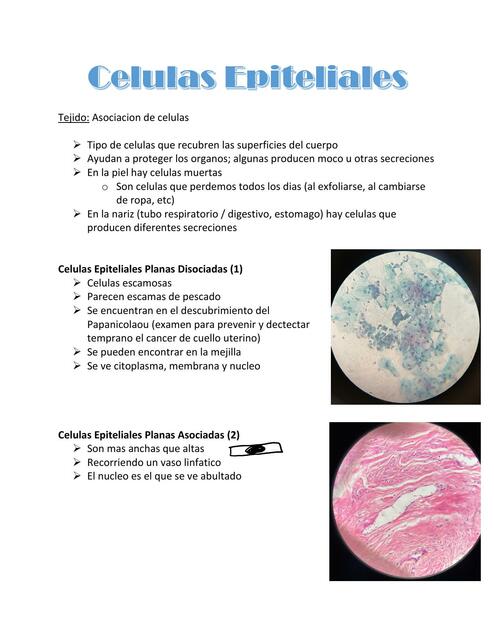 Histología- Laboratorio