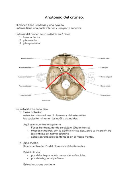 Neurocirugía estudios diagnósticos