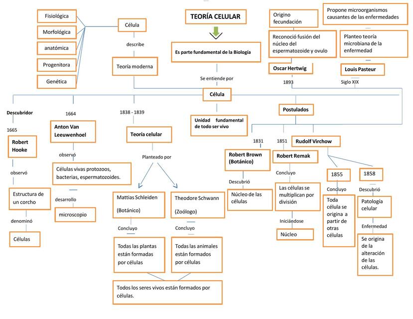 Teoría Celular 