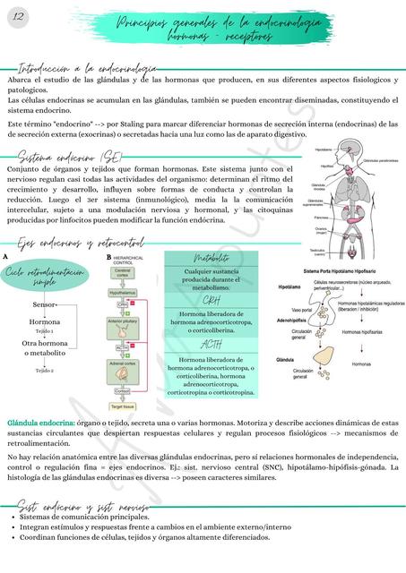 Principios generales de la endocrinología