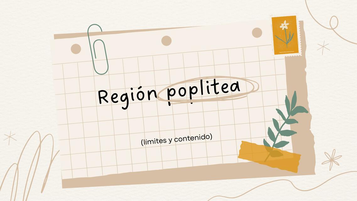 Región Poplítea