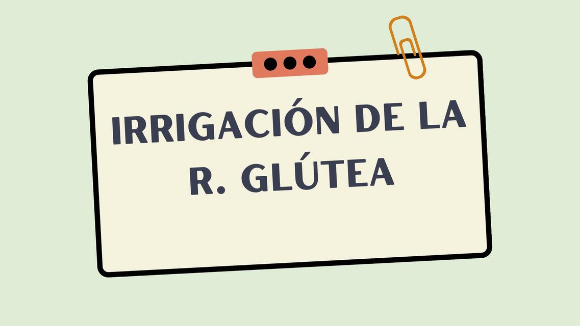 Irrigación de la Región Glútea