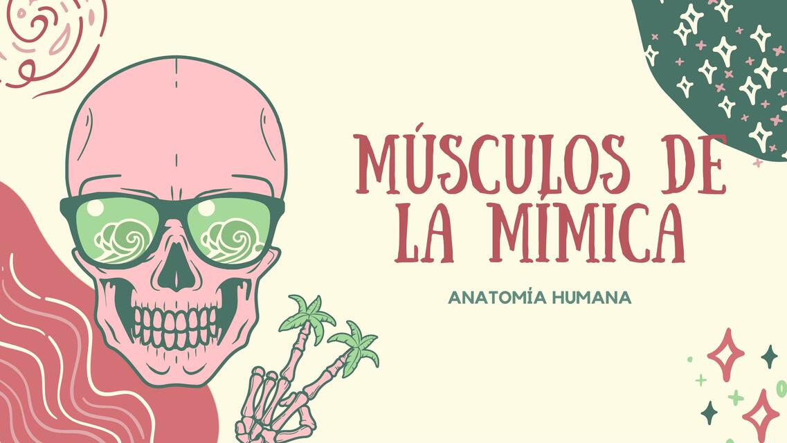 Músculos de la Mímica