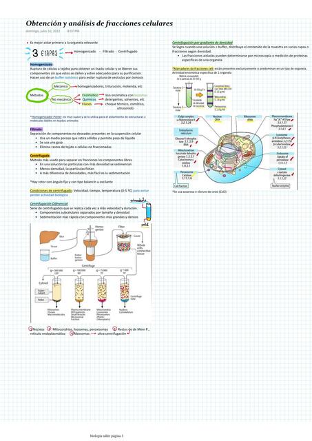 Obtención y Análisis de Fracciones Celulares