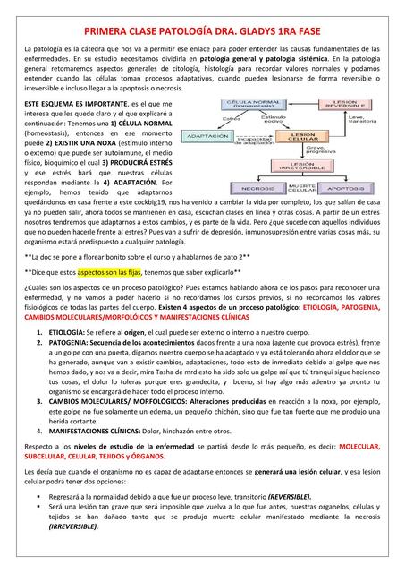 Apuntes Patología Parte I