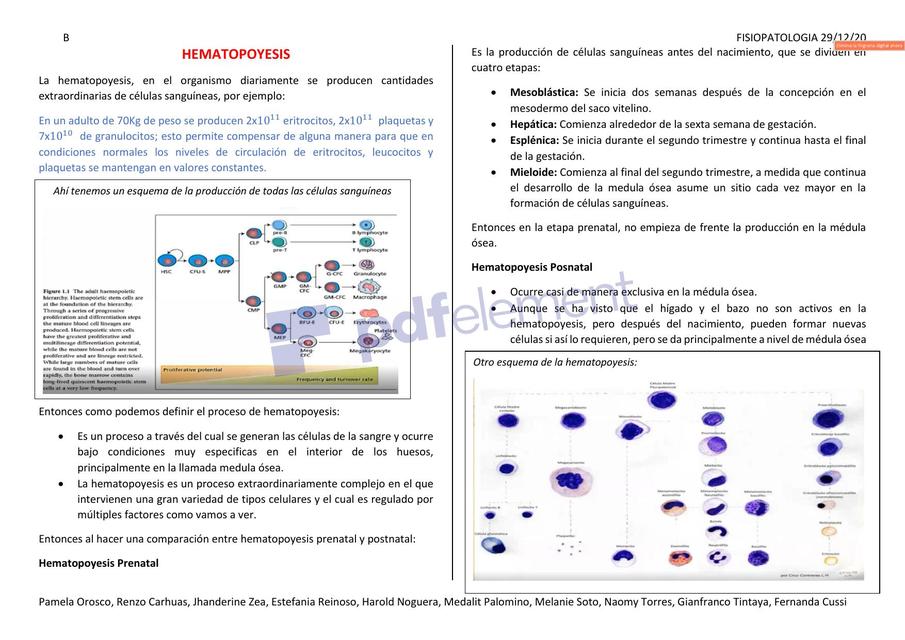 Apuntes de Fisiopatología parte III 