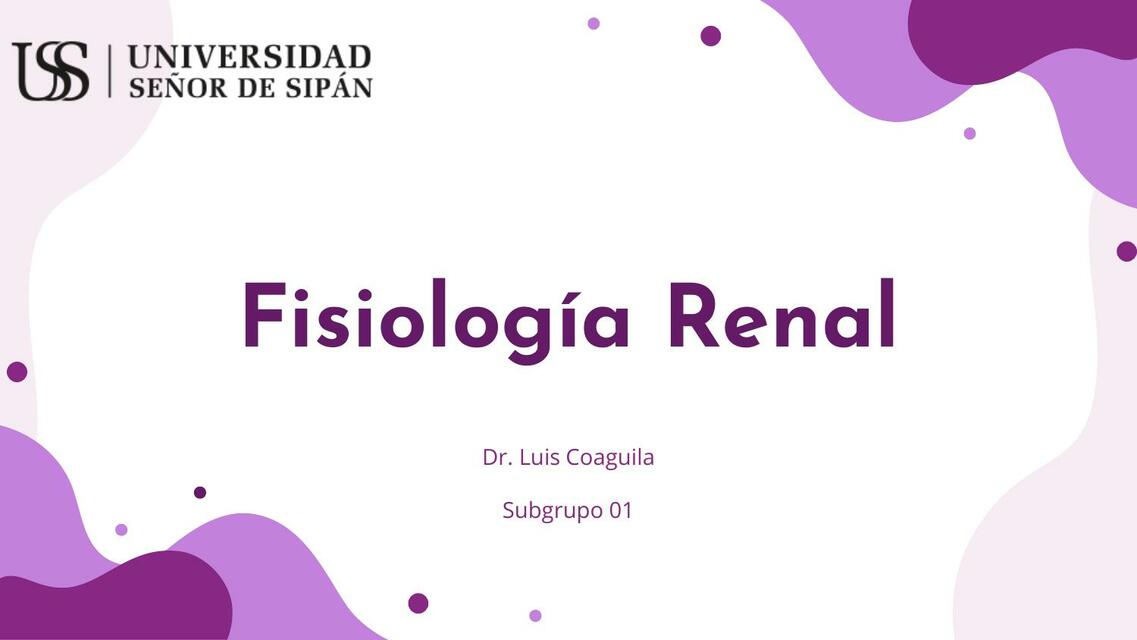 Fisiología Renal 