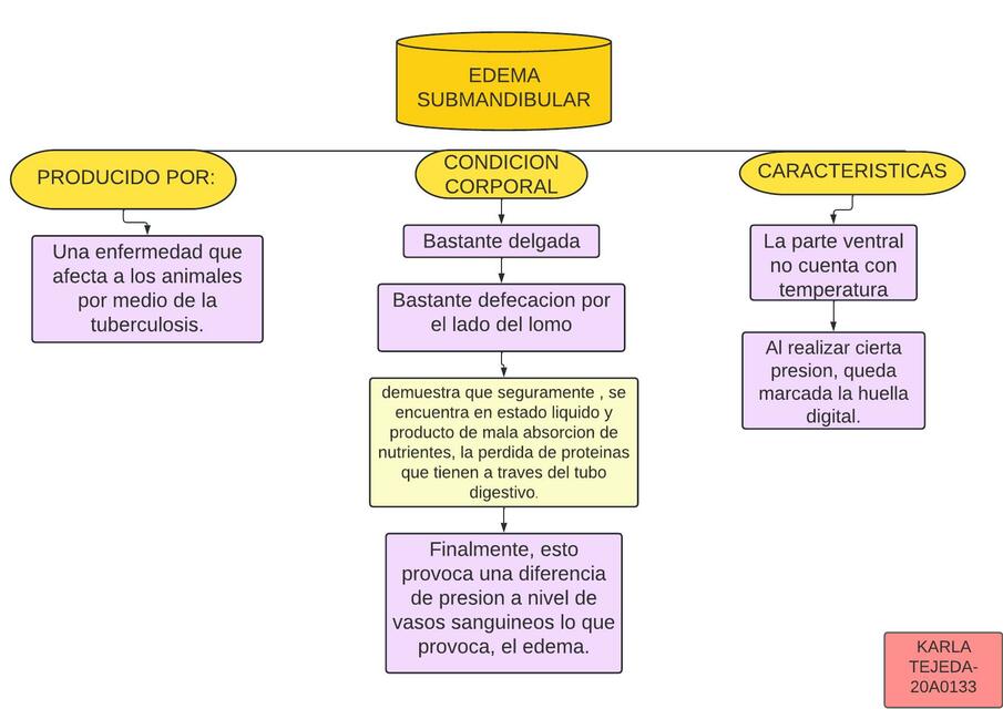 Edema Submandibular 