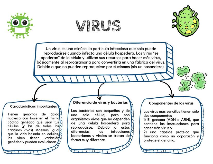 Virus 