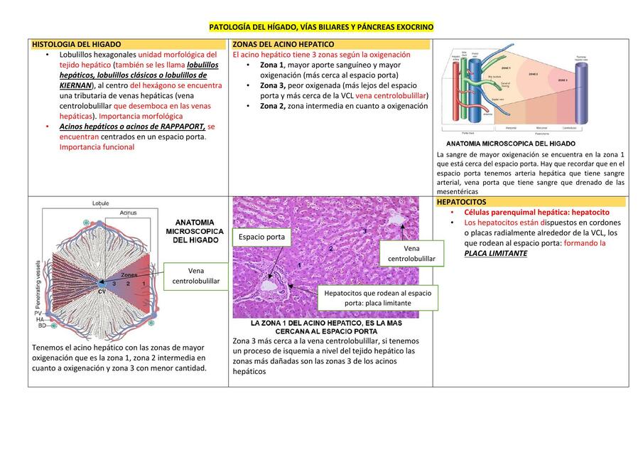 Patología del Hígado