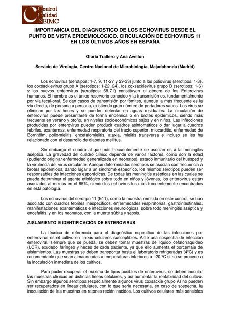 Importancia del Diagnóstico de los Echovirus Desde el Punto de Vista Epidemiológico Circulación de Echovirus 11 en los Últimos Años en España