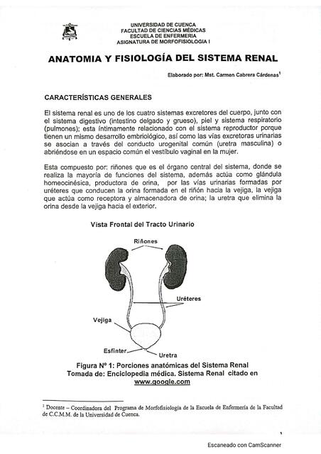 Anatomía y Fisiología del Sistema Renal