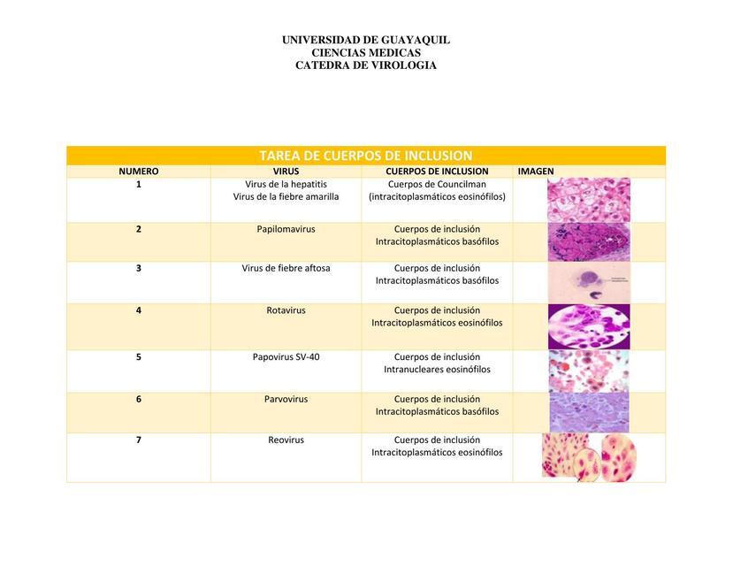 Virología: Cuerpos de Inclusión