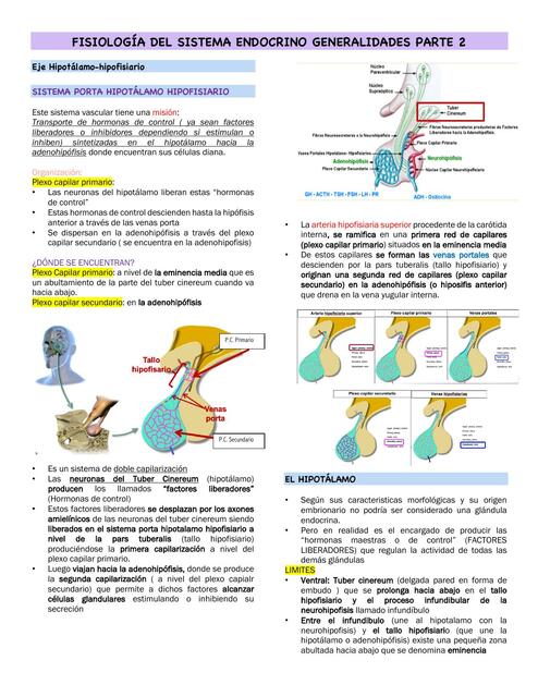 Fisiología del Sistema Endocrino Generalidades