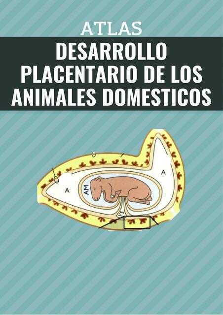 Desarrollo Placentario de Animales