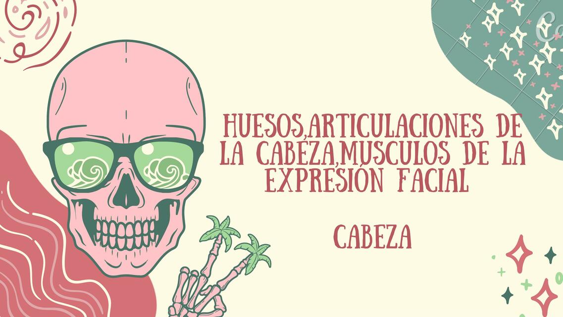 Huesos, articulaciones de la cabeza, músculos de la expresión facial