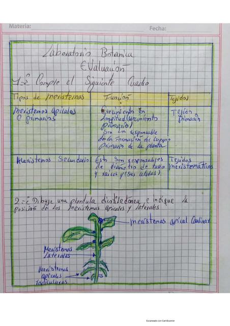 Laboratorio Botánica 