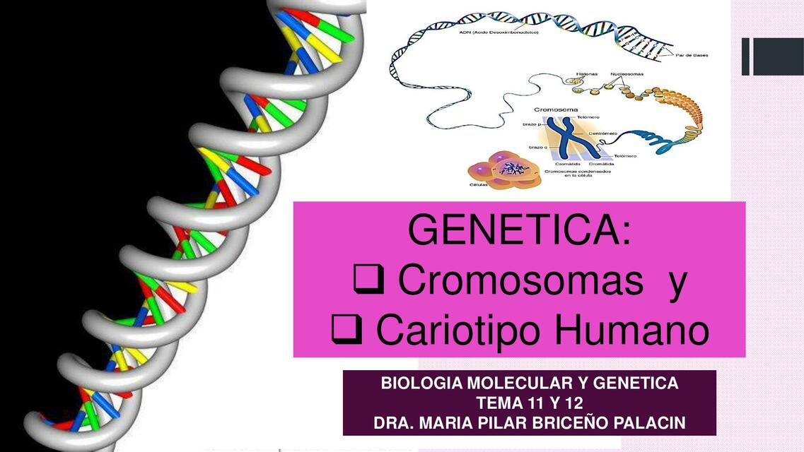 Genética: Cromosomas y Cariotipo Humano 