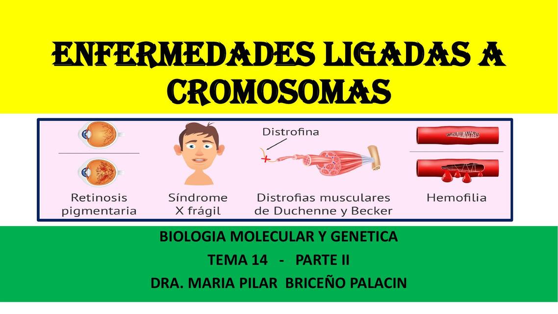 Enfermedades Ligadas a Cromosomas 