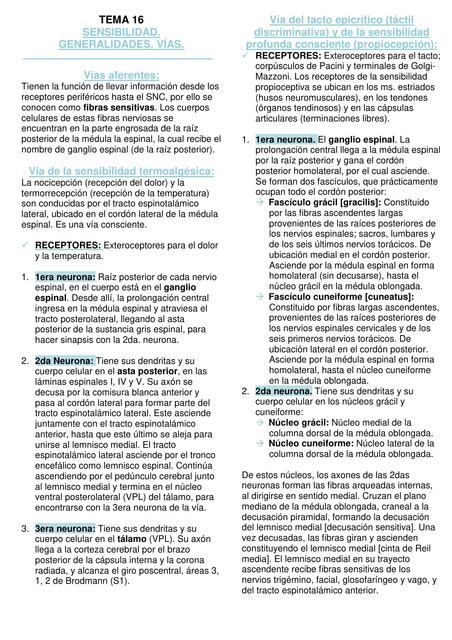 Sensibilidad. Generalidades. Vías 