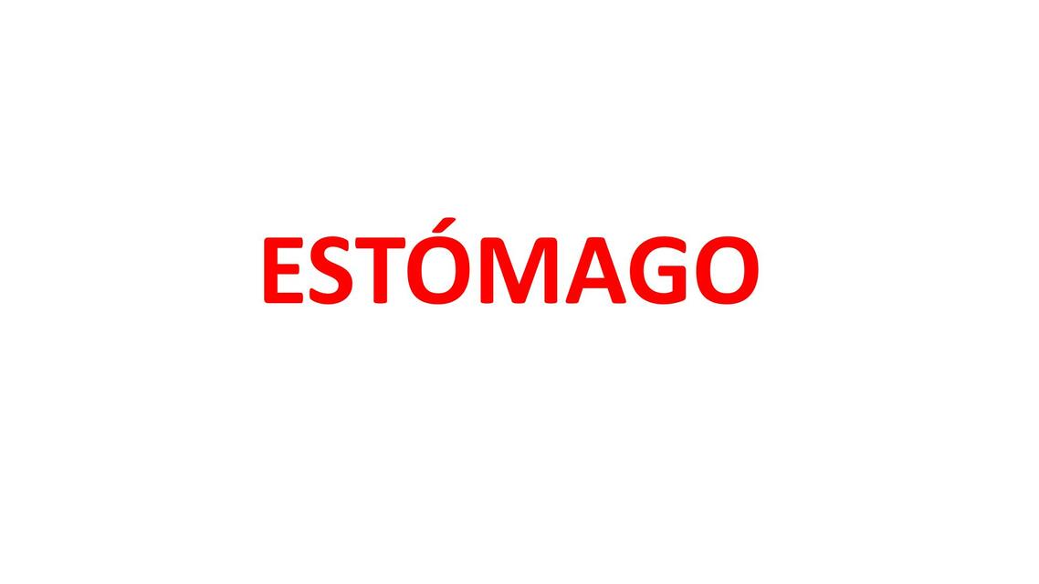 Estómago 