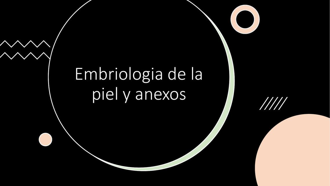 Embriología de la piel y anexos