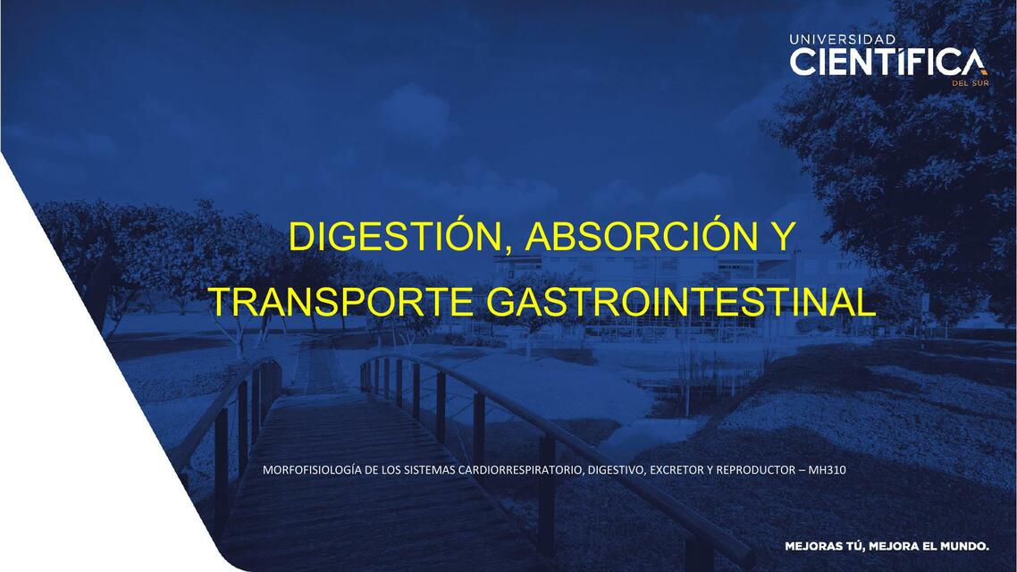 Digestión, Absorción y Transporte Gastrointestinal 