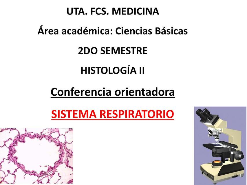 Sistema Respiratorio