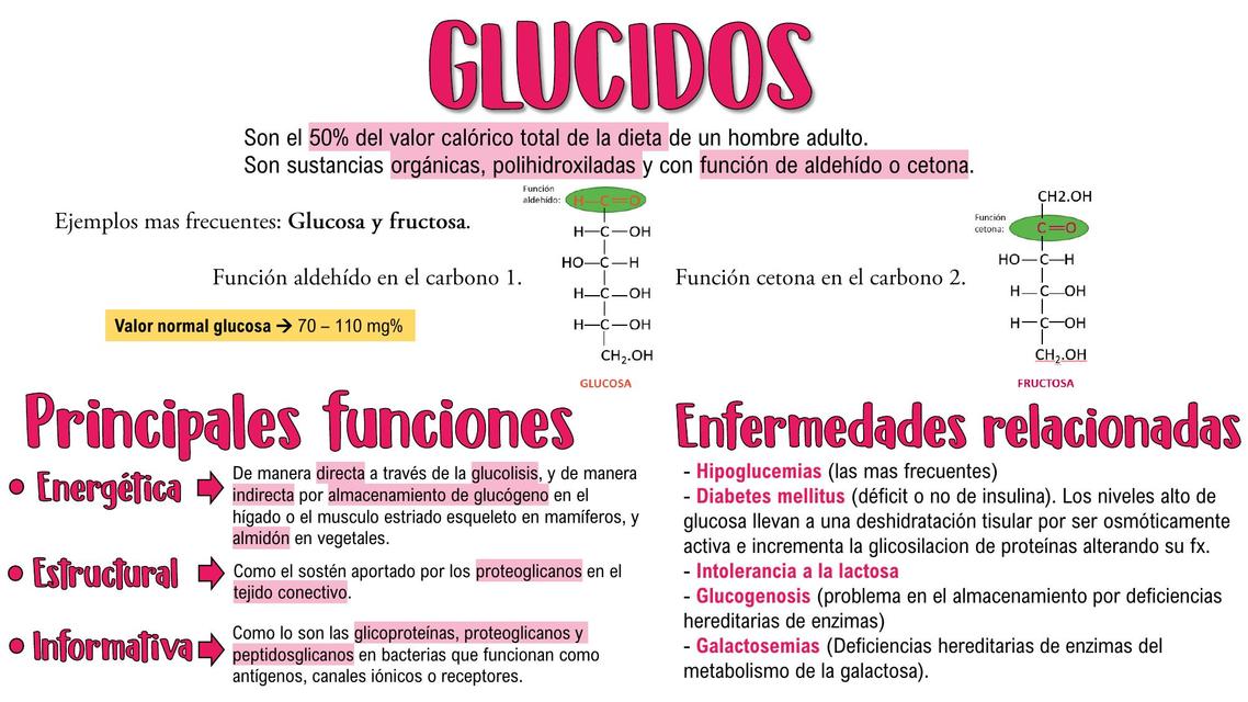 Glúcidos